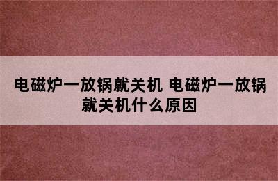 电磁炉一放锅就关机 电磁炉一放锅就关机什么原因